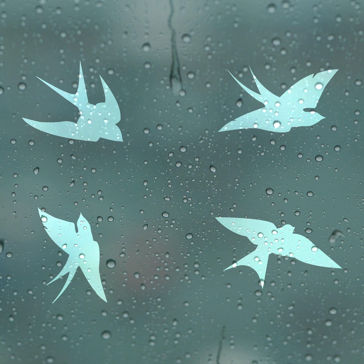 Four bird-shaped anti-collision stickers on a rain-covered window, designed to protect birds from collisions.