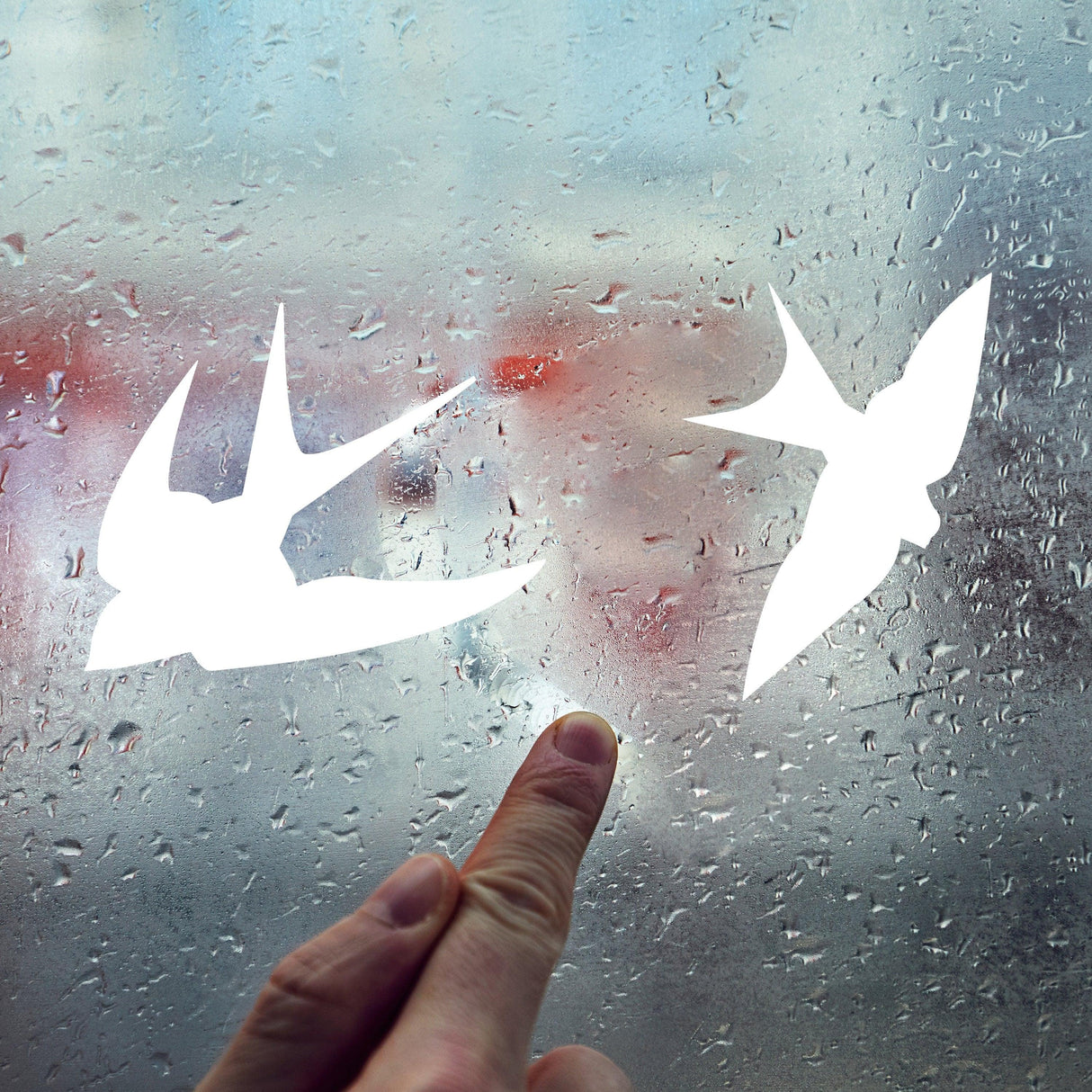 Two white bird silhouette decals on a rain-speckled window, with a finger pointing at them.