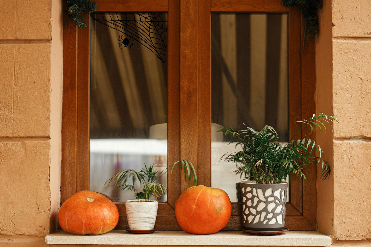 Cozy window display with pumpkins and potted plants, perfect for autumn decor and Halloween celebrations.