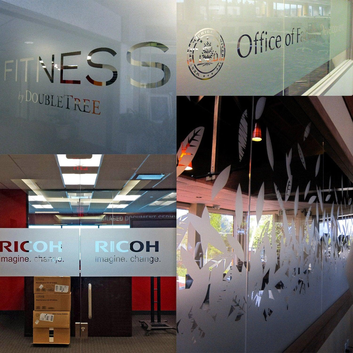 Custom frosted vinyl stickers on office glass doors featuring fitness and branding designs.
