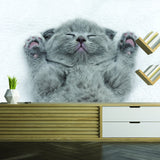 Cat Wallpaper Vinyl Decal Decor - Home Bedroom Peel And Stick Removable Gray Kitten Art Wall Sticker