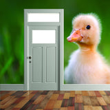 Duck Wallpaper Vinyl Decal Decor - Home Bedroom Peel And Stick Removable Art Wall Paper Sticker