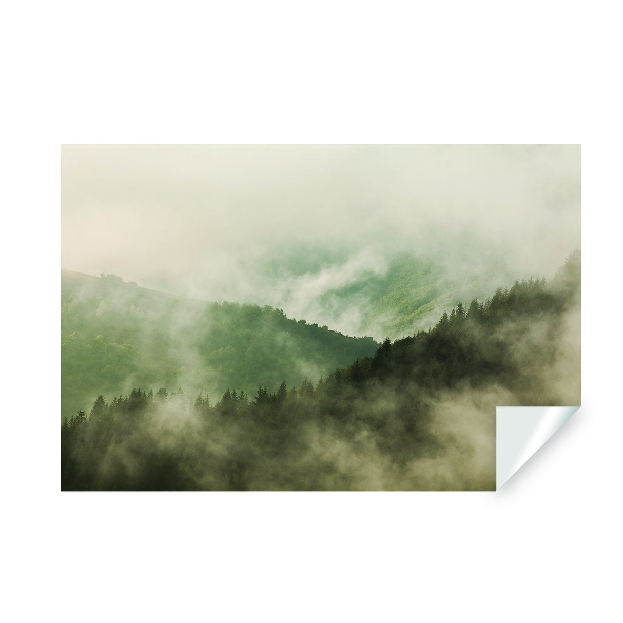 Foggy Forest Wallpaper Decal - Landscape Tree Wall Paper Mural Self Peel And Stick Sticker