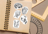 Anatomy Stickers for Hydroflask - Anatomical Decals for Science Lovers and Medical Students