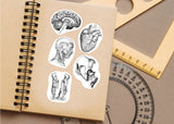 Anatomy Stickers for Hydroflask - Anatomical Decals for Science Lovers and Medical Students