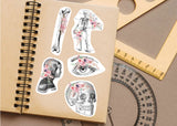 Anatomy Stickers for Hydroflask - Anatomical Decals Gift for Doctors and Medical Students