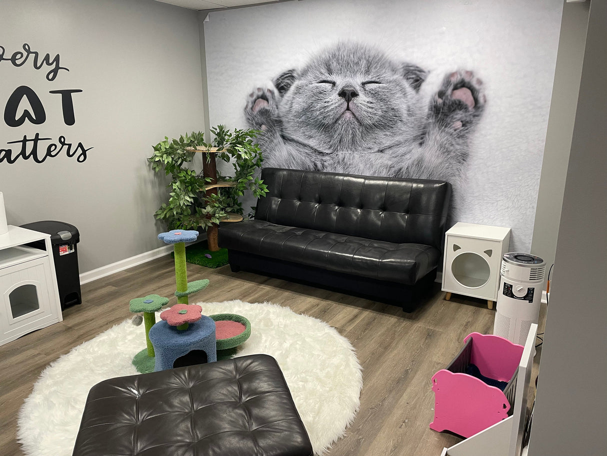 Cat Wallpaper Vinyl Decal Decor - Home Bedroom Peel And Stick Removable Gray Kitten Art Wall Sticker