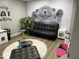 Cat Wallpaper Vinyl Decal Decor - Home Bedroom Peel And Stick Removable Gray Kitten Art Wall Sticker