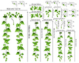 "Versatile Wall Decoration"