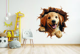 DIY Dog Porthole Decor,