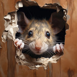 3D Mouse Hole Wall Art,