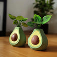 Cute Avocado Flower Pot | Desk Organizer | Real Plant Holder | Avocado Home Decor | Succulent Pot | Fun Office Computer Table Decoration