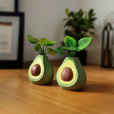 Cute Avocado Flower Pot | Desk Organizer | Real Plant Holder | Avocado Home Decor | Succulent Pot | Fun Office Computer Table Decoration