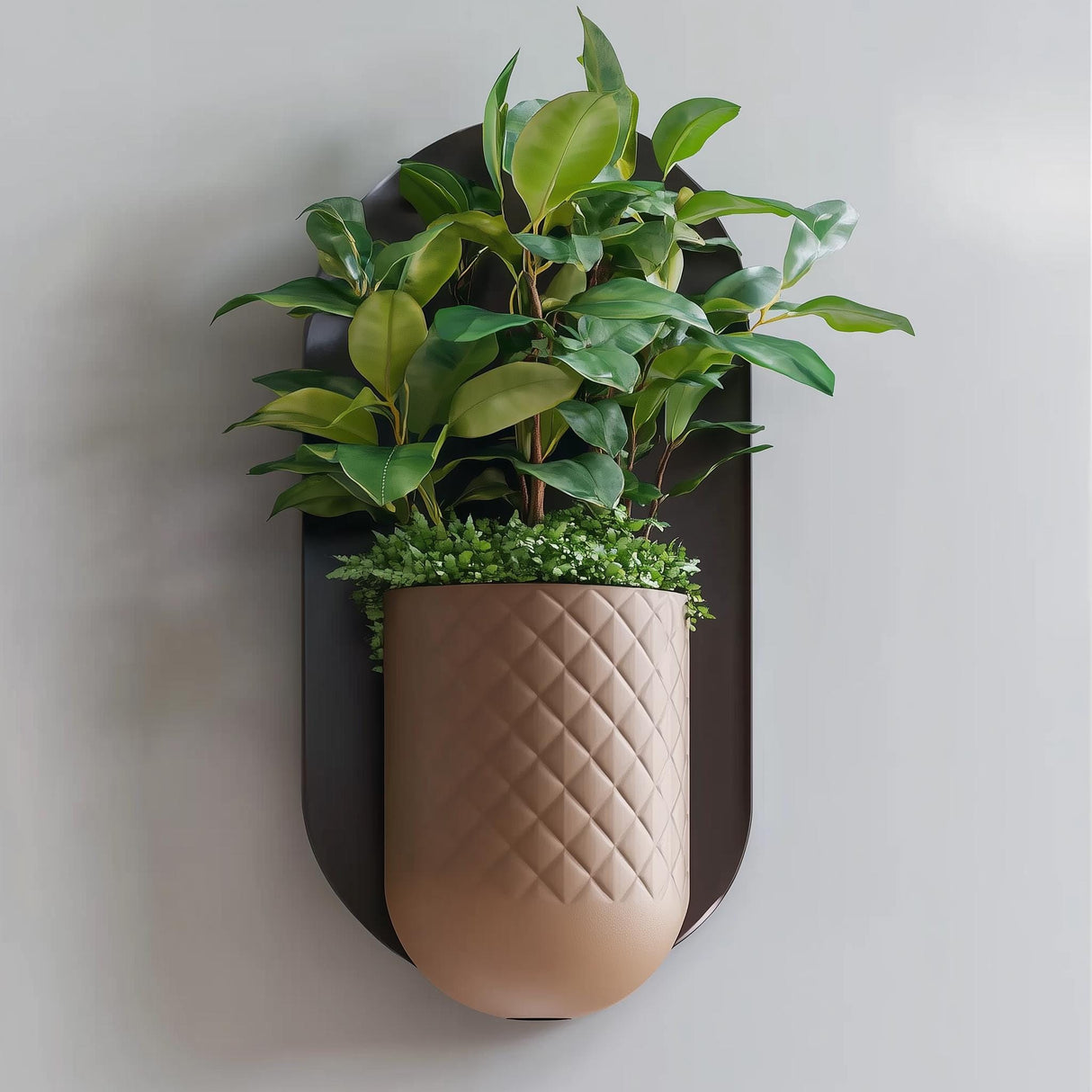 Modern Wall Planter | Minimalist Mounted Planter | Indoor Hanging Planter