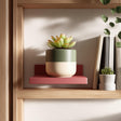 3D printed minimalist mini wall shelf in a solid color, used as a small floating ledge holding a plant pot, integrated into a wooden shelving setup.