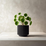 3D Printed Modern Black Planter | Minimalist Ribbed Plant Pot | Contemporary Indoor Planter