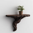 A dark brown 3D printed wall-mounted shelf with a sculpted, twisted tree root-style support and a matte finish, holding a small potted plant against a clean white wall.