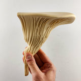 3D Printed Mushroom Shelf | Modern Floating Wall Shelf | Deadly Galerina Design | Organic Wall Art | Nature Decor | Plant Display Shelf