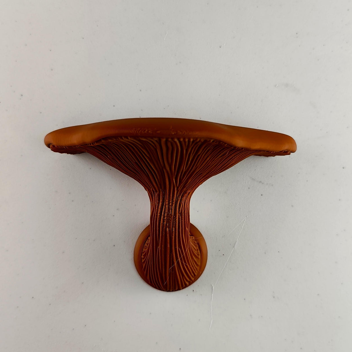 Mushroom Shelf | Floating Wall Shelf Fungi Wall Decor | 3D Printed Modern Home Accent Unique Wall Mounted Shelf | Boho Shelf Room Decor