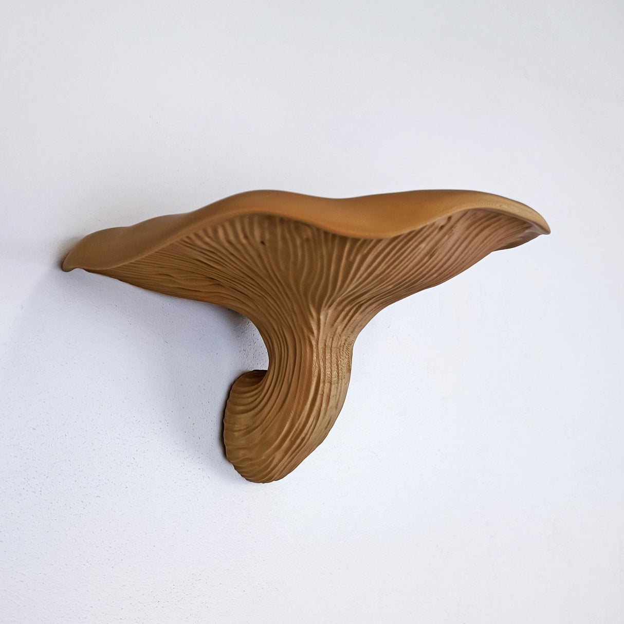 Mushroom Floating Wall Shelf | 3D Printed Organic Wall Decor | Nature Inspired Home Accent Modern Wall Mounted Shelf