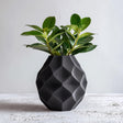 Black 3D printed geometric vase with faceted texture, holding green leafy plant, displayed on a minimalist white surface
