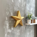 3D Printed Star Wall Decor | Modern Minimalist Geometric Design | Unique 3D Printed Wall Art for Creative Interiors and Contemporary Homes