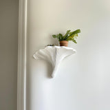 Turkey Tail Mushroom Shelf | 3D Printed Wall Shelf | Sculptural Floating Shelf | Matte White Organic Wall Decor | Fungi Inspired Home Accent