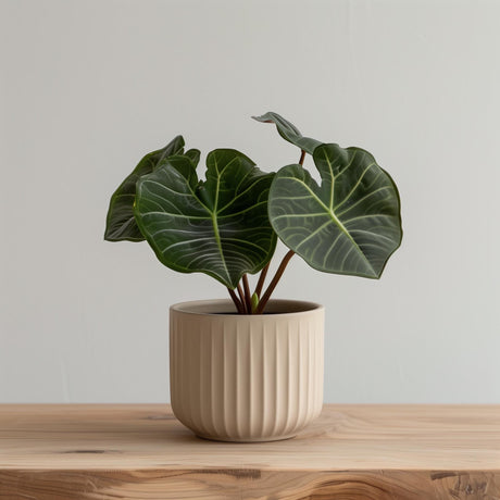 Beige cylindrical 3D printed planter with vertical ribbed grooves, shown with a leafy green plant for illustration; plant not included.