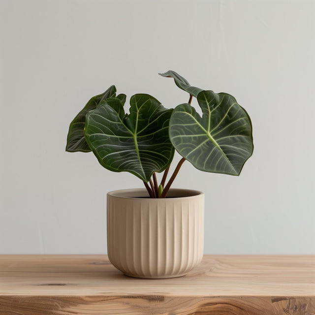 Beige cylindrical 3D printed planter with vertical ribbed grooves, shown with a leafy green plant for illustration; plant not included.