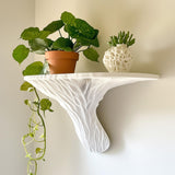 "White 3D printed wall shelf inspired by the Deadly Galerina mushroom, mounted on a light wall and decorated with potted plants and a sculptural vase."