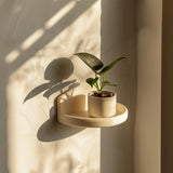 3D Printed Round Wall Shelf | Minimalist Floating Display Ledge | Modern Curved Wall Decor Accent for Stylish Contemporary Home Interiors