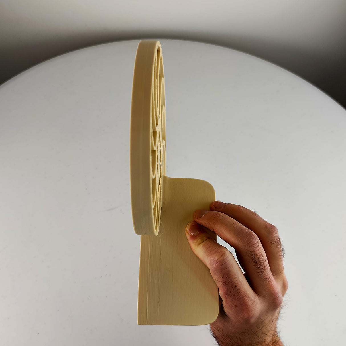 Nautilus Wall Shelf | Spiral Floating Shelfs | 3D Printed Geometric Wall Art