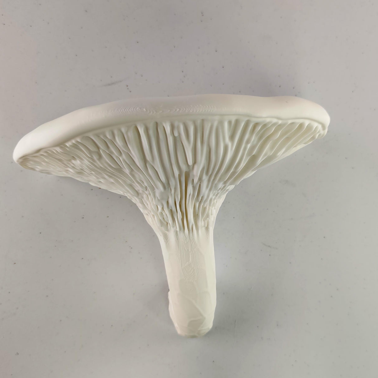 3D Printed Mushroom Shelf | Floating Wall Shelf | Organic Decor Nature Inspired Home Accent | Wall Mounted Shelf | Fungi Aesthetic Decor