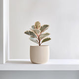 3D Printed Planter | Japanese Style Minimalist Vase | Modern Indoor Plant Pot | Unique Home Decor | Original Gift for Plant Lovers