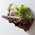 Brown 3D printed floating wall shelf with realistic root texture, mounted on a white wall and decorated with potted green plants and ceramics.