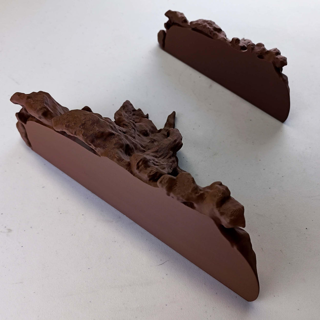 Tree Root Wall Shelf | Floating Shelf for Plants | 3D Printed Organic Wall Decor