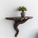 Twisted Root Wall Shelf | Organic Floating Shelf for Plants | 3D Printed Tree Shelf