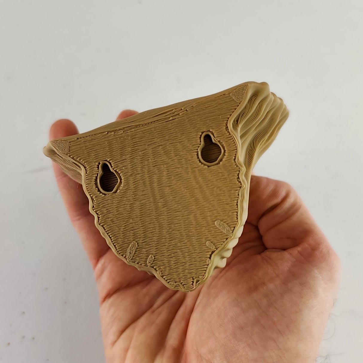 3D Printed Mushroom Wall Shelf | Artist’s Conk Inspired Floating Shelf | Modern Organic Decor