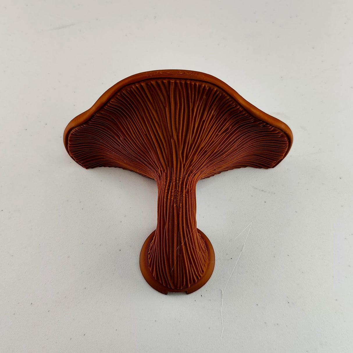 Mushroom Shelf | Floating Wall Shelf Fungi Wall Decor | 3D Printed Modern Home Accent Unique Wall Mounted Shelf | Boho Shelf Room Decor