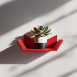 3D Printed Wall Shelf | Modern Geometric Mini Shelf | Small Plant Display Shelf | Meditation Altar Shelf | Boho Aesthetic Room Wall Decor