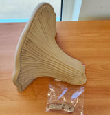 3D Printed Mushroom Shelf | Floating Wall Shelf Organic Wall Decor | Nature Home Accent Modern Wall Mounted Shelf