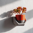 3D printed geometric wall shelf holder in gray, holding a red and black plant pot with succulents, displayed as modern minimalist wall decor