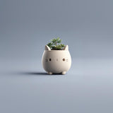3D Printed Cat Planter Pot | Kawaii Minimal Succulent Holder | Cute Desk Plant Pot | Modern Tabletop Decor Accent for Home Office Workspace