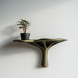 3D printed organic modern wall shelf with smooth flowing support and matte earthy finish, mounted on a light minimalist interior wall.